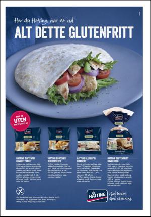 dagbladet_bilag-20160530_000_00_00_023.pdf