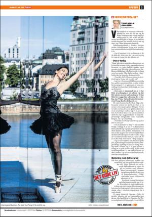 dagbladet_bilag-20160622_000_00_00_003.pdf