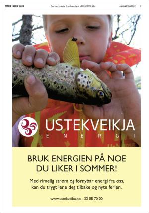 dagbladet_bilag-20160704_000_00_00_009.pdf