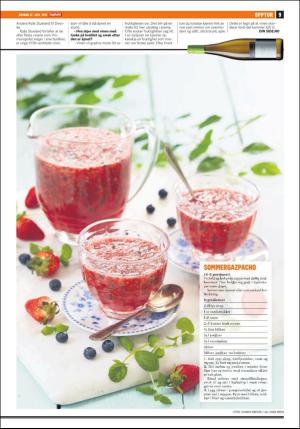 dagbladet_bilag-20160727_000_00_00_009.pdf