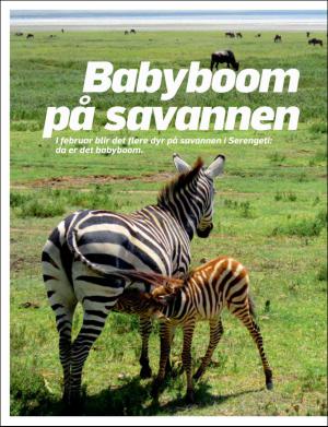 dagbladet_bilag-20160907_000_00_00_036.pdf