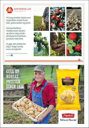 dagbladet_bilag-20160913_000_00_00_013.pdf