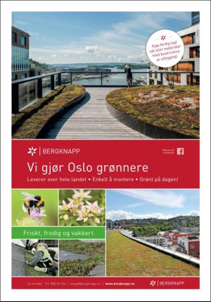 dagbladet_bilag-20170309_000_00_00_003.pdf