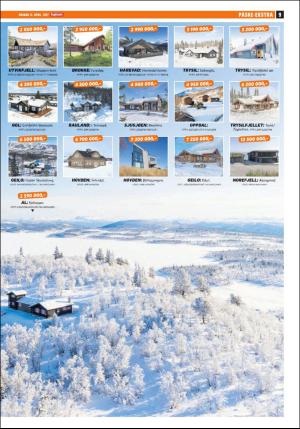 dagbladet_bilag-20170412_000_00_00_009.pdf