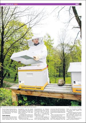 dagbladet_bilag-20170530_000_00_00_007.pdf