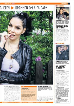 dagbladet_bilag-20170602_000_00_00_003.pdf