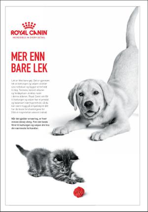 dagbladet_bilag-20170615_000_00_00_003.pdf