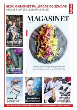 dagbladet_bilag-20170616_000_00_00_016.pdf
