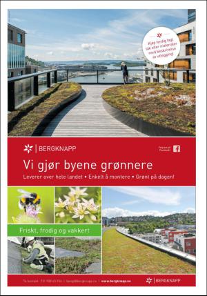 dagbladet_bilag-20170619_000_00_00_037.pdf