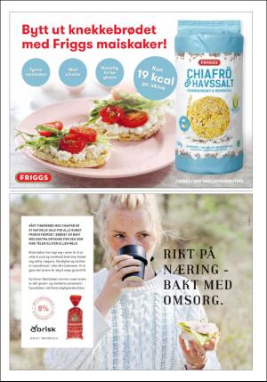 dagbladet_bilag-20170627_000_00_00_007.pdf