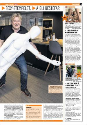 dagbladet_bilag-20170630_000_00_00_003.pdf