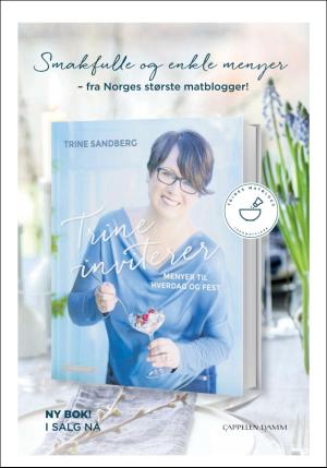 dagbladet_bilag-20170908_000_00_00_019.pdf