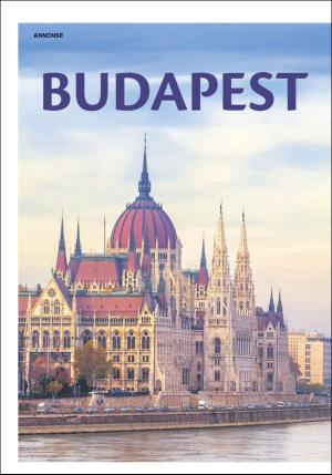 dagbladet_bilag-20170915_000_00_00_014.pdf