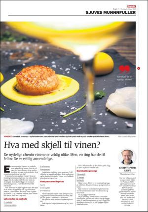 dagbladet_bilag-20180209_000_00_00_009.pdf