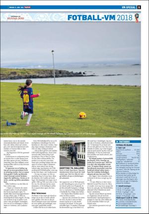 dagbladet_bilag-20180613_000_00_00_009.pdf