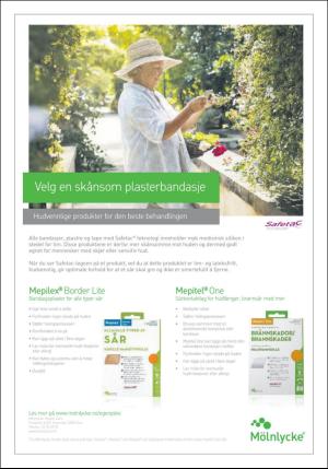 dagbladet_bilag-20180620_000_00_00_015.pdf