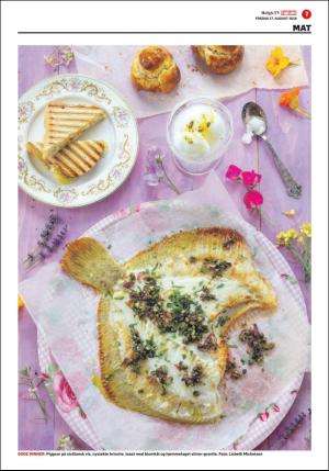 dagbladet_bilag-20180817_000_00_00_007.pdf