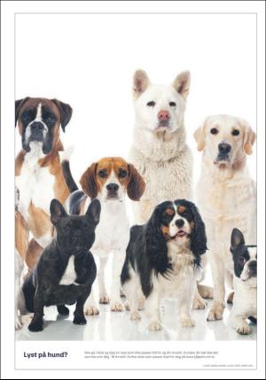 dagbladet_bilag-20191128_000_00_00_012.pdf