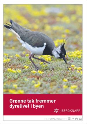 dagbladet_bilag-20191128_000_00_00_013.pdf