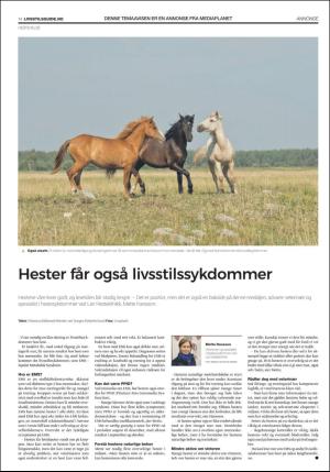 dagbladet_bilag-20191128_000_00_00_014.pdf