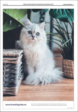 dagbladet_bilag-20191128_000_00_00_015.pdf