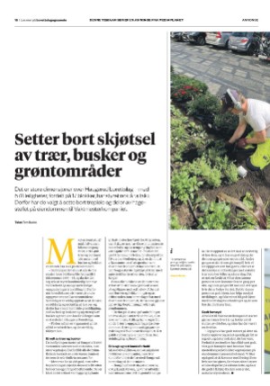 dagbladet_bilag-20210617_000_00_00_016.pdf