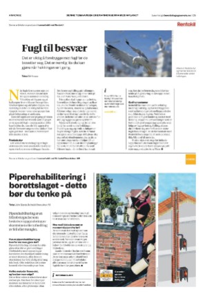 dagbladet_bilag-20210617_000_00_00_025.pdf