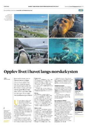 dagbladet_bilag-20210617_000_00_00_031.pdf