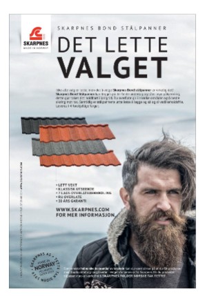 dagbladet_bilag-20210617_000_00_00_033.pdf