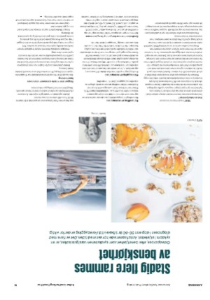 dagbladet_bilag-20220118_000_00_00_030.pdf