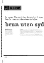 dagbladet_fredag-20060210_000_00_00_032.pdf