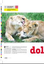 dagbladet_fredag-20060505_000_00_00_026.pdf