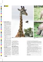 dagbladet_fredag-20060505_000_00_00_028.pdf