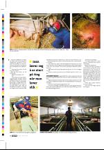 dagbladet_fredag-20060811_000_00_00_018.pdf