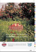 dagbladet_fredag-20061013_000_00_00_013.pdf