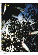 dagbladet_fredag-20061013_000_00_00_020.pdf