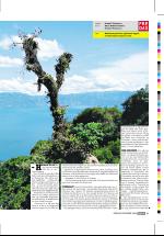 dagbladet_fredag-20061215_000_00_00_027.pdf