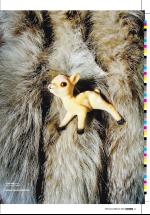 dagbladet_fredag-20070216_000_00_00_017.pdf