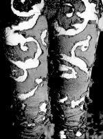 dagbladet_fredag-20070413_000_00_00_018.pdf