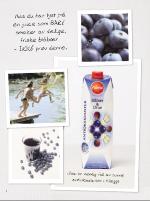 dagbladet_fredag-20070511_000_00_00_015.pdf