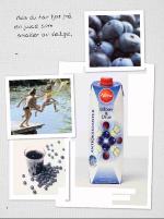 dagbladet_fredag-20070525_000_00_00_009.pdf