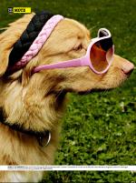 dagbladet_fredag-20070713_000_00_00_016.pdf