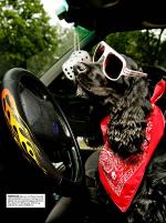 dagbladet_fredag-20070713_000_00_00_017.pdf