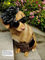 dagbladet_fredag-20070713_000_00_00_018.pdf