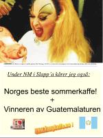 dagbladet_fredag-20070817_000_00_00_009.pdf