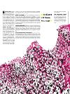 dagbladet_fredag-20080222_000_00_00_021.pdf