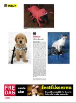 dagbladet_fredag-20080314_000_00_00_038.pdf