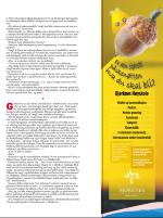 dagbladet_fredag-20080319_000_00_00_015.pdf