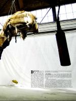 dagbladet_fredag-20080502_000_00_00_023.pdf