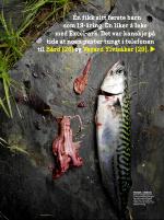 dagbladet_fredag-20080725_000_00_00_007.pdf